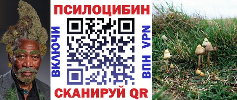Псилоцибиновые грибы Psilocybe  блэк спрут рабочий сайт  Балашиха 